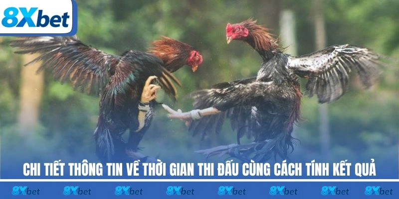 Chi tiết thông tin về thời gian thi đấu cùng cách tính kết quả