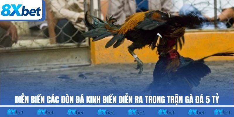 Diễn biến các đòn đá kinh điển diễn ra trong trận gà đá 5 tỷ