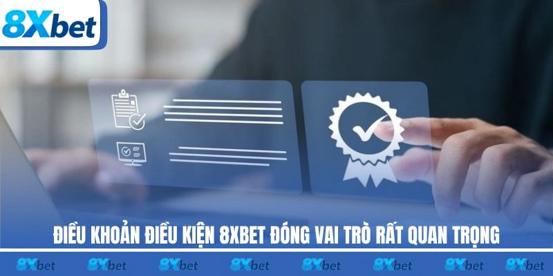 Điều khoản điều kiện 8XBET đóng vai trò rất quan trọng