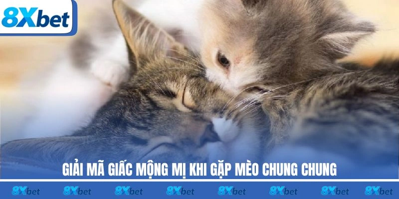 Giải mã giấc mộng mị khi gặp mèo chung chung
