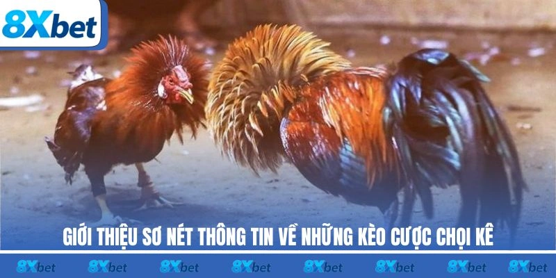 Giới thiệu sơ nét thông tin về những kèo cược chọi kê