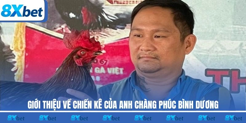 Giới thiệu về chiến kê của anh chàng Phúc Bình Dương