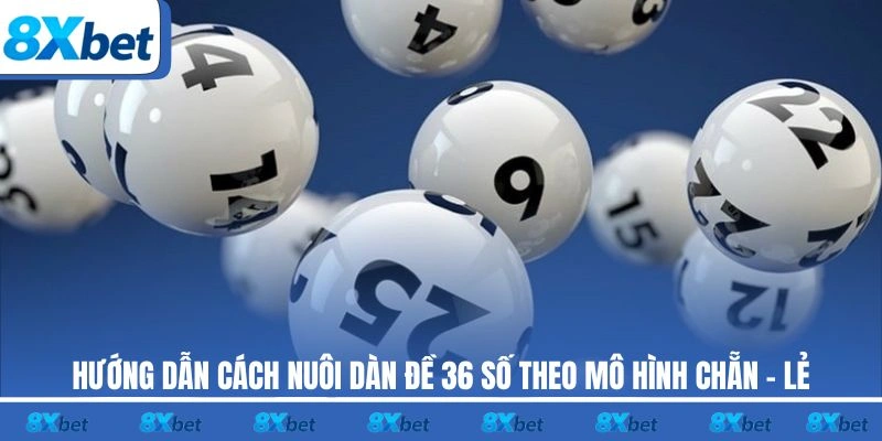 Hướng dẫn cách nuôi dàn đề 36 số 8xbet theo mô hình chẵn - lẻ