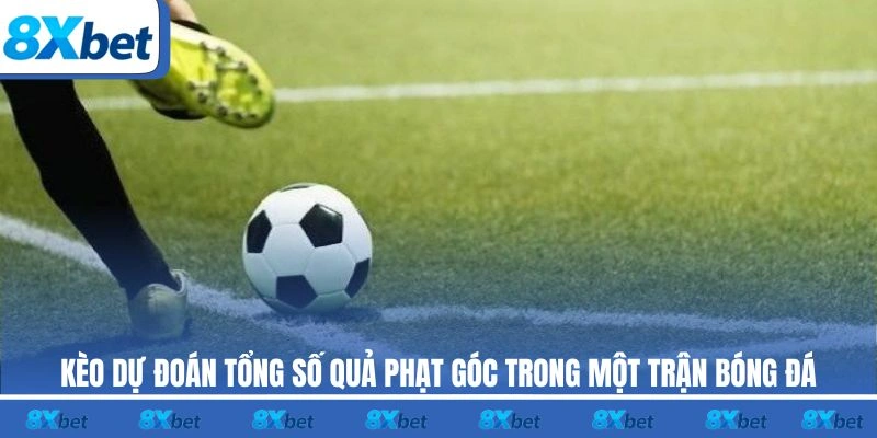 Kèo dự đoán tổng số quả phạt góc trong một trận bóng đá