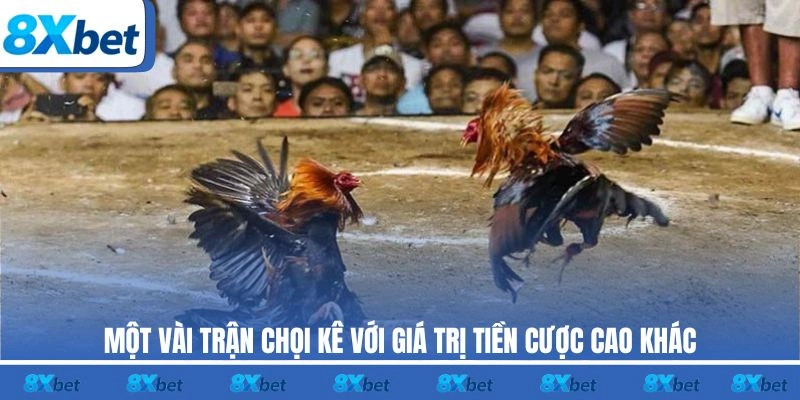 Một vài trận chọi kê với giá trị tiền cược cao khác