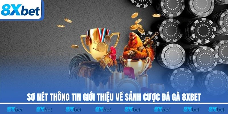 Sơ nét thông tin giới thiệu về sảnh cược đá gà 8XBET