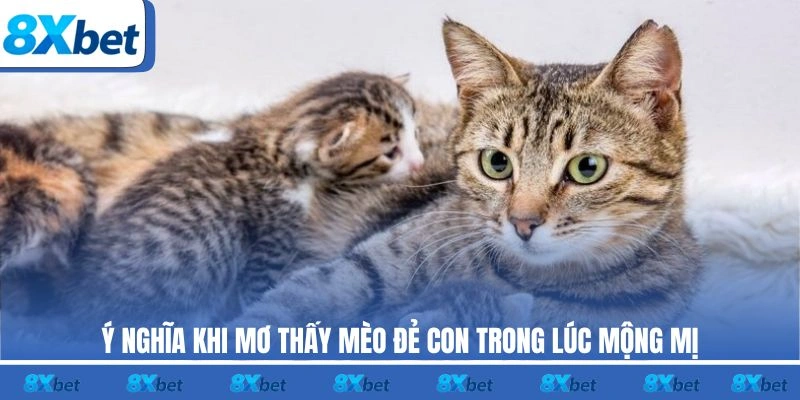 Ý nghĩa khi mơ thấy mèo 8xbet đẻ con trong lúc mộng mị